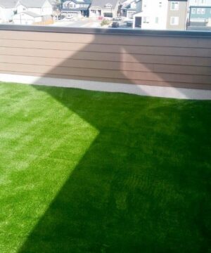 Residential Synthetic Turf Installation-Synthetic Turf Team of Jupiter